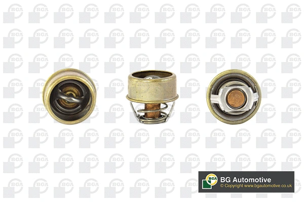 Thermostat, coolant (CT5521)