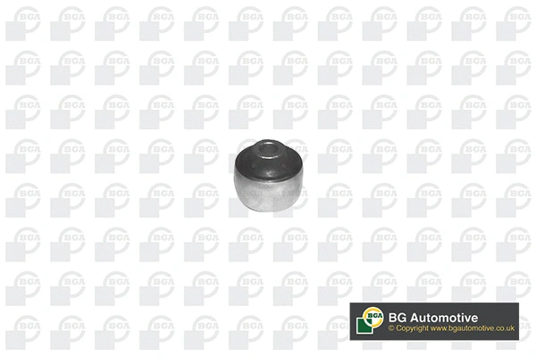 Mounting, control/trailing arm (BU2371)