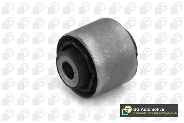 Mounting, control/trailing arm (BU0919)