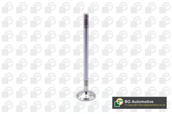 Exhaust Valve (V203633)
