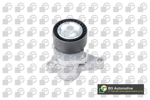 Tensioner Lever, V-ribbed belt (DC1416)