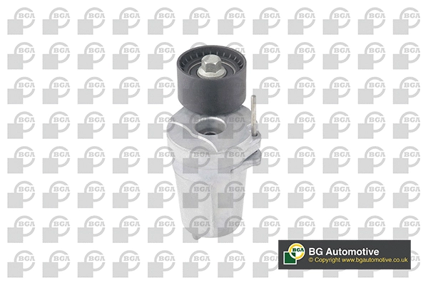 Tensioner Lever, V-ribbed belt (DC0907)