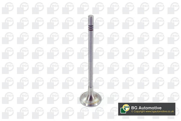 Exhaust Valve (V200611)