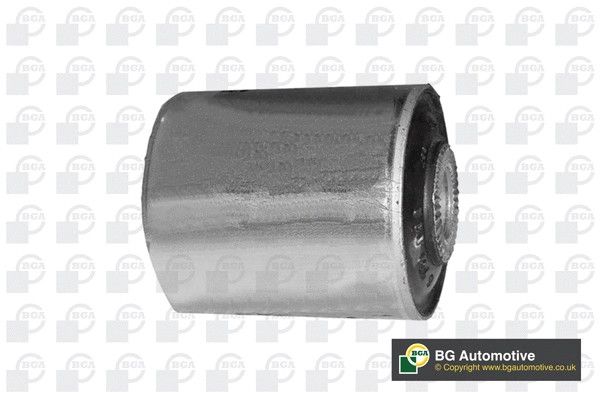 Mounting, control/trailing arm (BU4220)