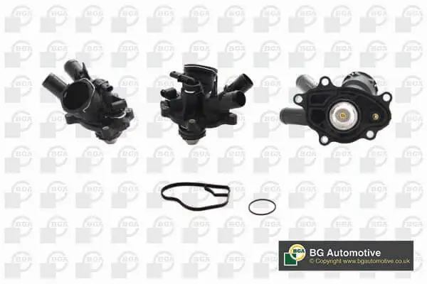 Thermostat, coolant (CT5690)