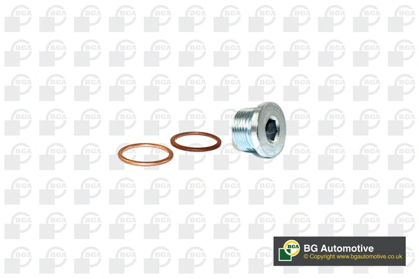 Screw Plug, oil sump (PK2302)