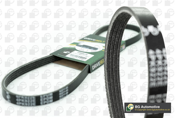 V-Ribbed Belt (4PK1062)
