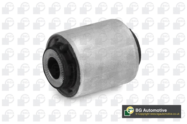 Mounting, control/trailing arm (BU0882)