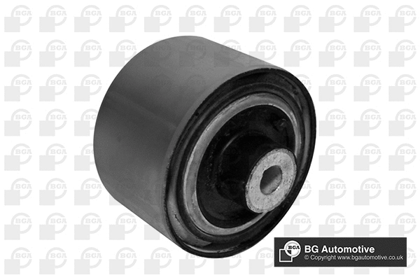 Mounting, control/trailing arm (BU4213)