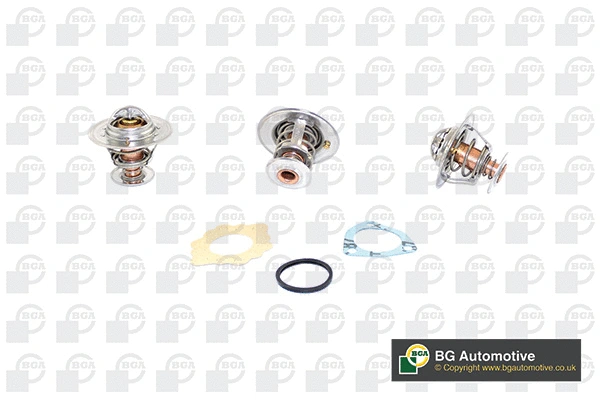 Thermostat, coolant (CT5488K)