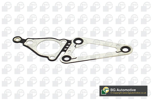Gasket, timing case (AH2366)