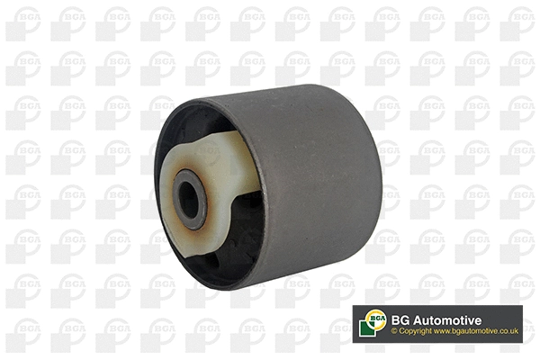 Mounting, control/trailing arm (BU4209)