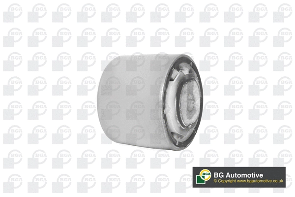 Mounting, control/trailing arm (BU0835)