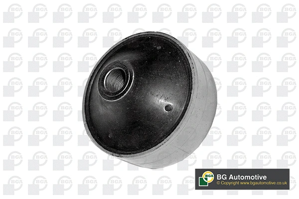 Mounting, control/trailing arm (BU1403)