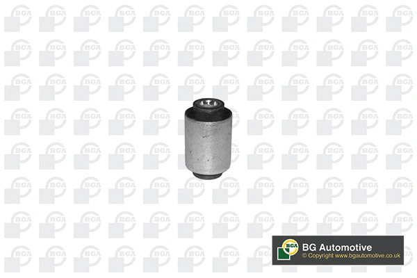 Mounting, control/trailing arm (BU0966)