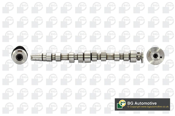 Camshaft (CS8100)