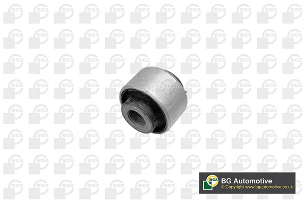 Mounting, control/trailing arm (BU7366)
