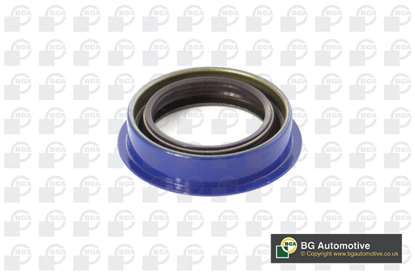 Shaft Seal, differential (OS2310)