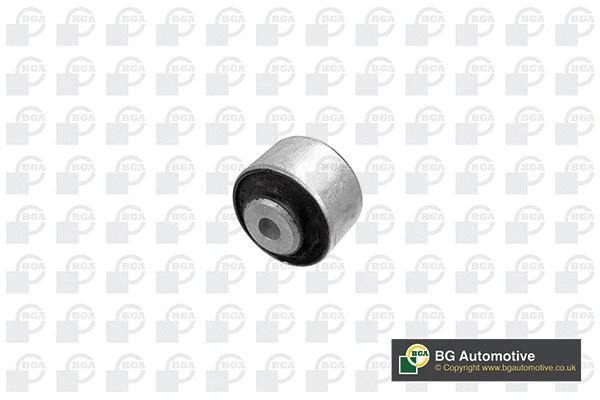 Mounting, control/trailing arm (BU0134)