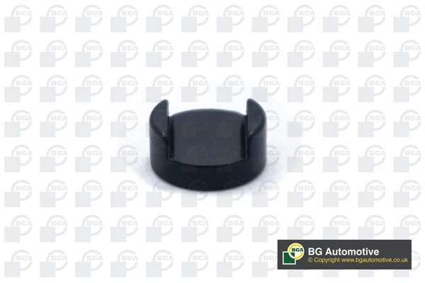 Thrust Piece, intake/exhaust valve (TP3999)