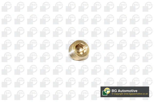 Screw Plug, oil sump (PK2202)