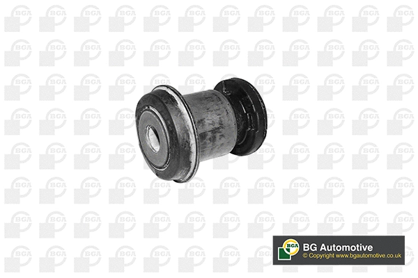 Mounting, control/trailing arm (BU2342)