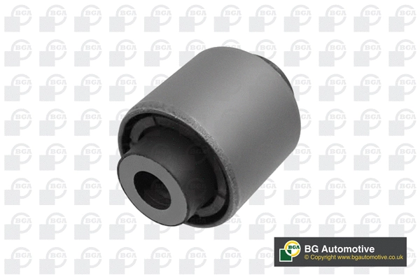 Mounting, control/trailing arm (BU8119)