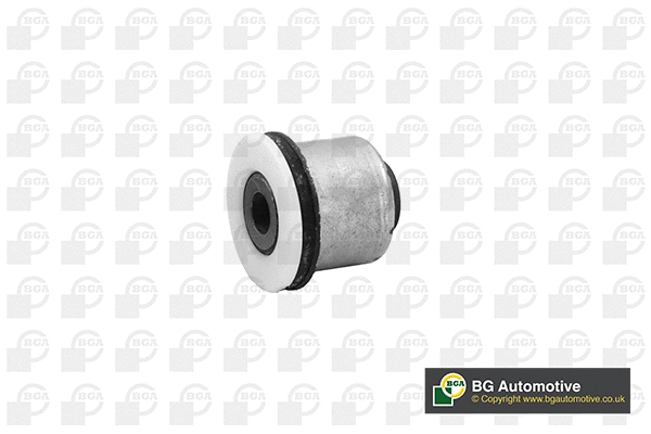 Mounting, control/trailing arm (BU1416)