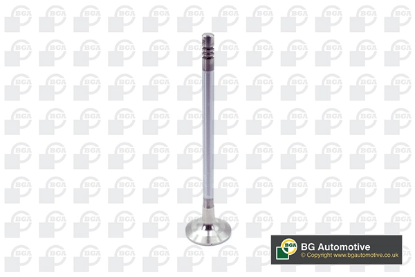 Exhaust Valve (V204955)