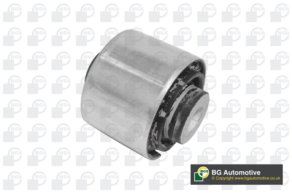 Mounting, control/trailing arm (BU5656)