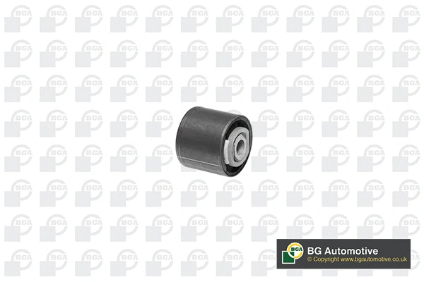 Mounting, control/trailing arm (BU6508)