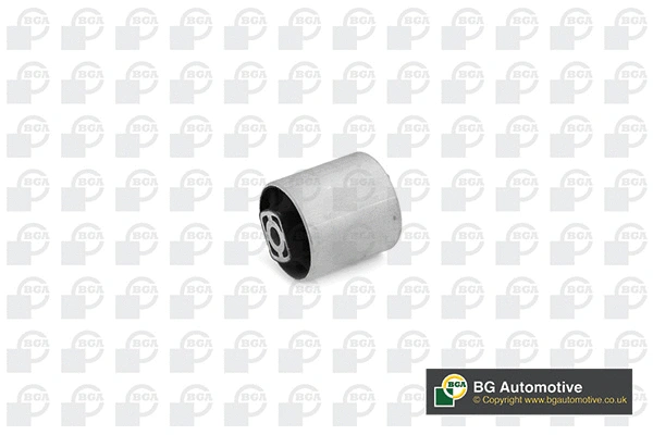 Mounting, control/trailing arm (BU0144)