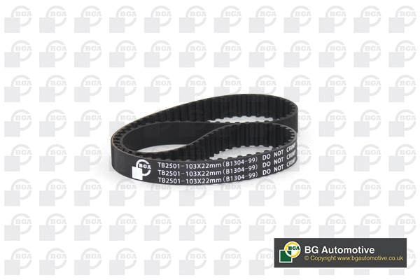 Timing Belt (TB2501)