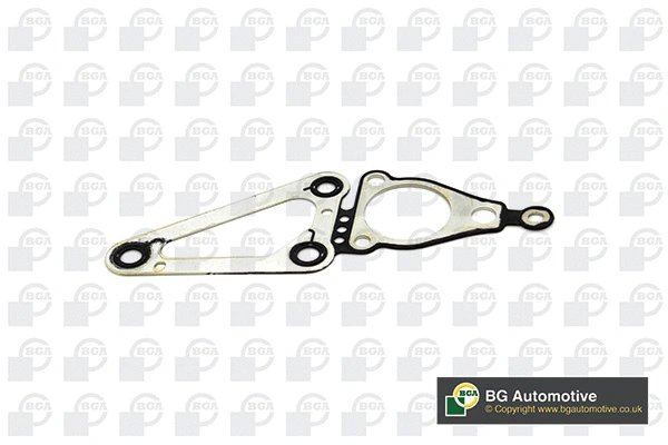 Gasket, timing case (AH2360)