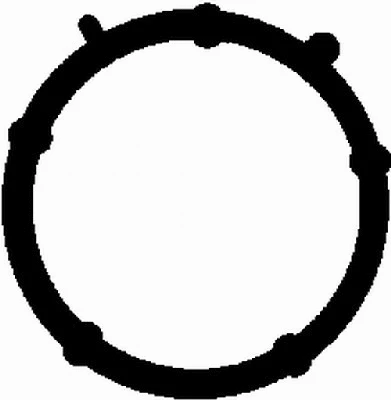 Gasket, intake manifold (MG2531)