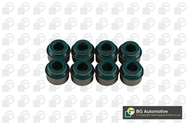 Seal Set, valve stem (VK5373)