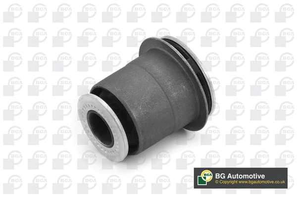 Mounting, control/trailing arm (BU9969)