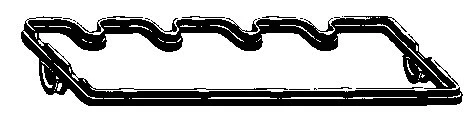 Gasket, cylinder head cover (RC3311)
