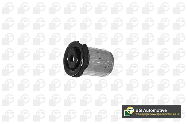 Mounting, control/trailing arm (BU5626)