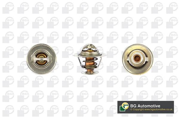 Thermostat, coolant (CT5496)