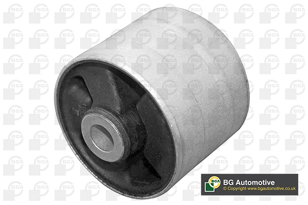 Mounting, control/trailing arm (BU4237)