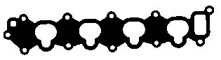 Gasket, intake manifold (MG5571)