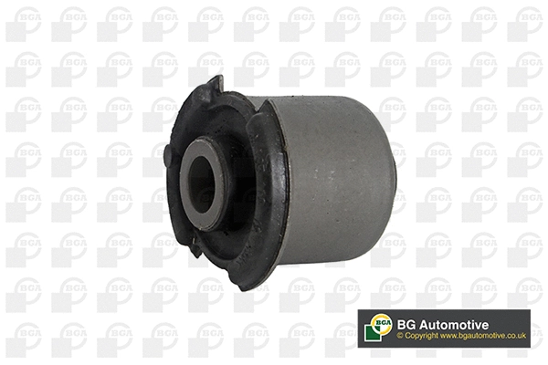 Mounting, control/trailing arm (BU4241)