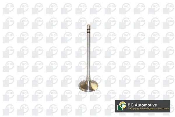 Intake Valve (V591701)