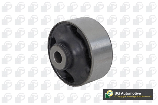 Mounting, control/trailing arm (BU2509)