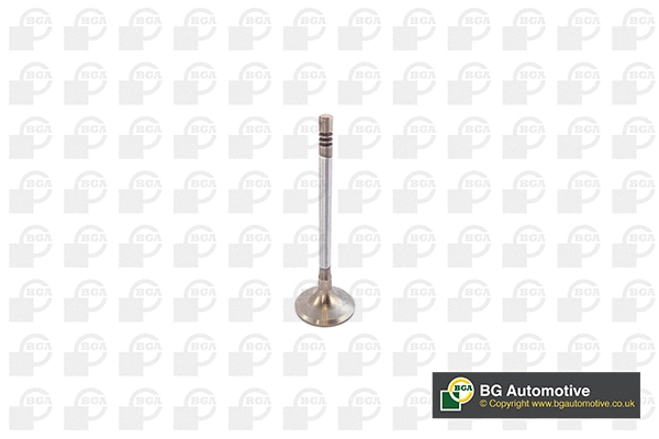 Intake Valve (V142049)