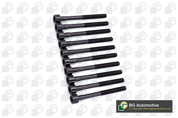 Cylinder Head Bolt Set (BK6383)