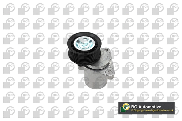 Tensioner Lever, V-ribbed belt (DC2313)