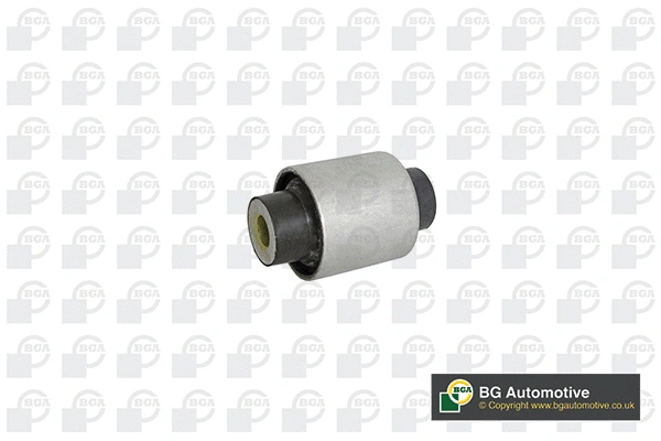 Mounting, control/trailing arm (BU0977)