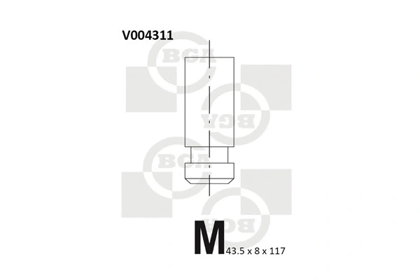 Intake Valve (V004311)